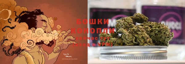 стафф Дмитров