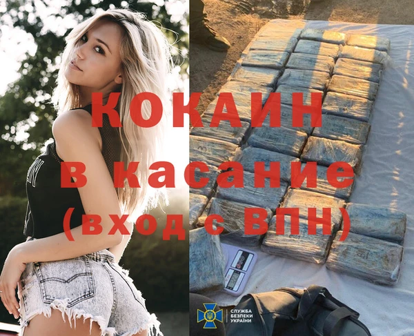 стафф Дмитровск