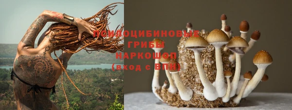 mix Дмитриев