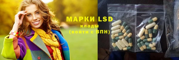 стафф Дмитров
