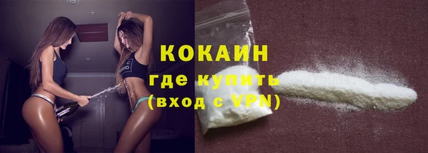 стафф Дмитров