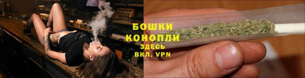 стафф Дмитров