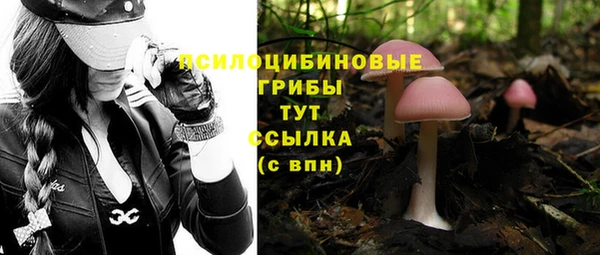 стафф Дмитровск