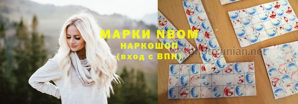 стафф Дмитровск