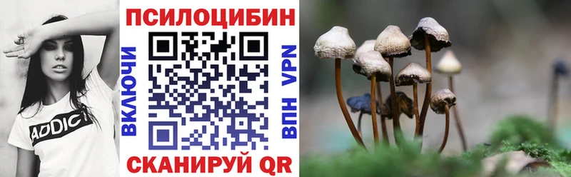 Псилоцибиновые грибы Psilocybe  Инта 