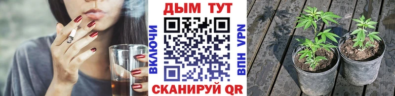 МЕГА ONION  Инта  Бошки Шишки план 
